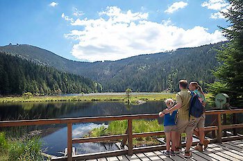 Blick auf Arbersee